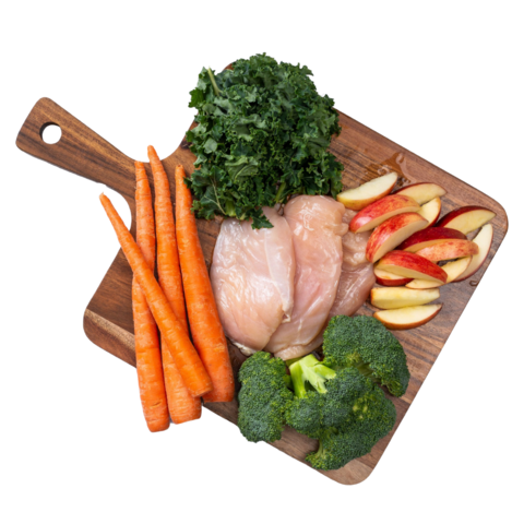 dog food for weight loss