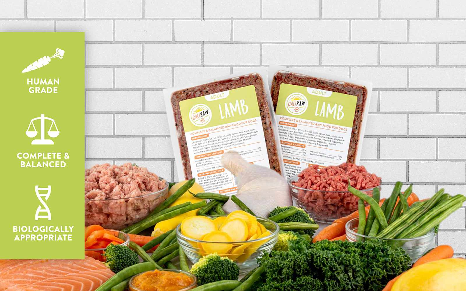 best fresh dog food for puppies and dogs