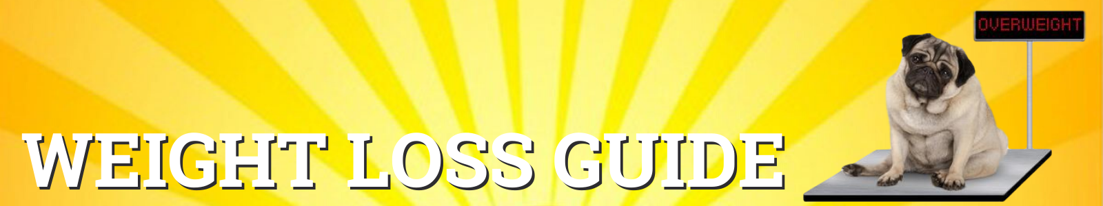 Cali Raw Weight Loss Guide