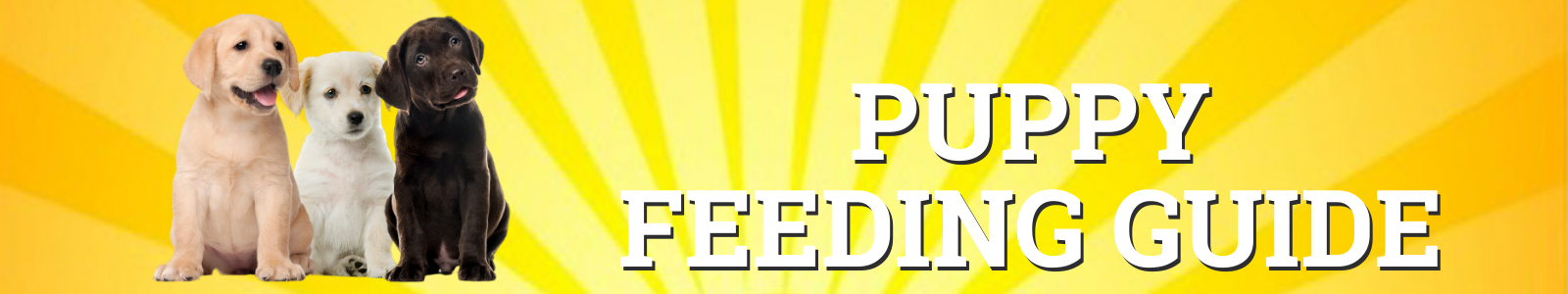 Cali Raw Puppy Feeding Raw Diet Guide