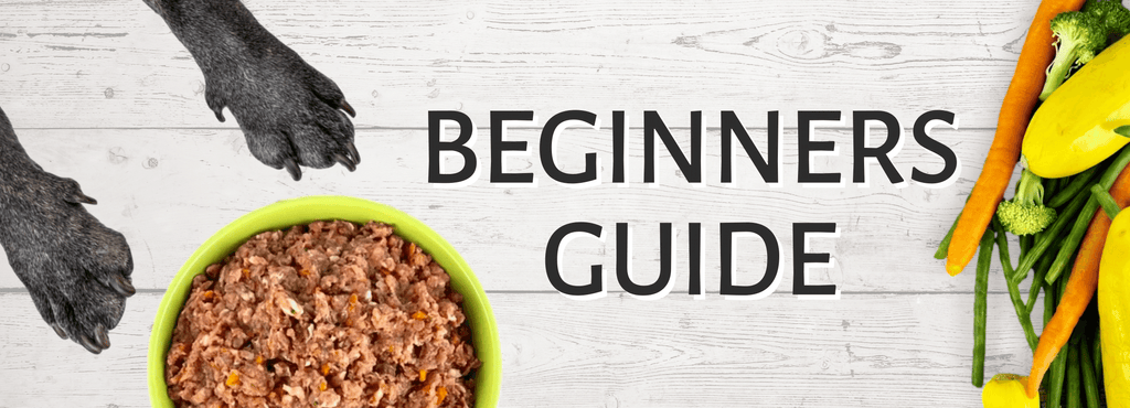 Raw Feeding Guide For Beginners