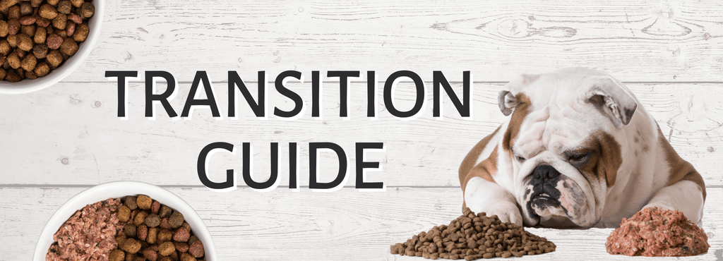 raw dog food transition