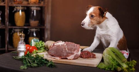 Raw Food for Dogs
