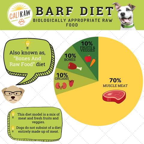 Barf Diet For Dogs Infograph