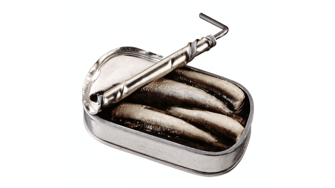 Canned sardines in water to supplement in dog's diet for benefits