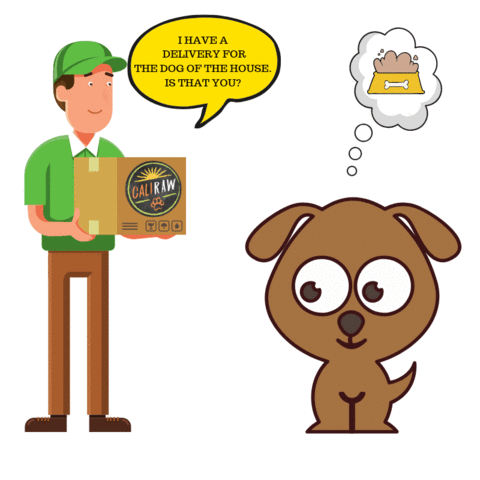 raw dog food delivery