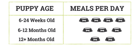 Meal per day: Raw Food For Puppies