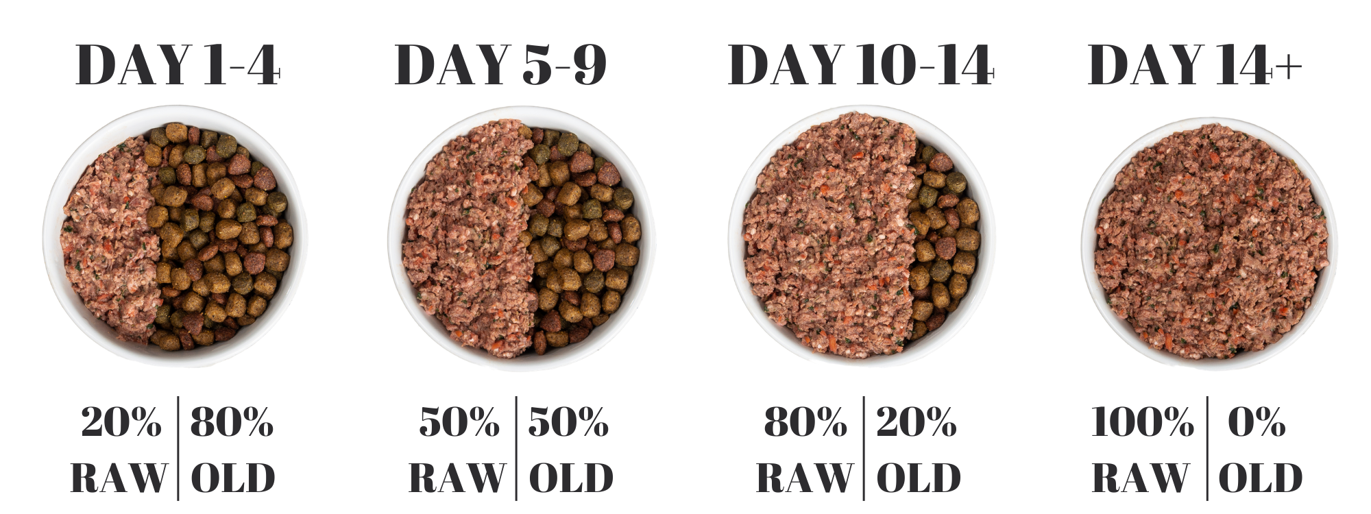 transitioning your puppy to raw diet