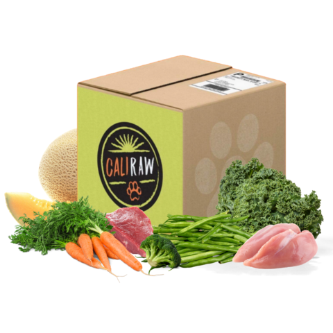 healthiest fresh dog food