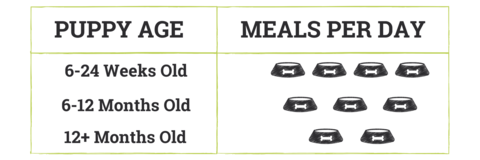 Puppy Feeding Chart